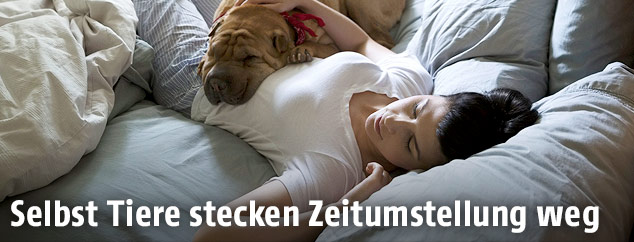 Hund schläft bei Frau im Bett