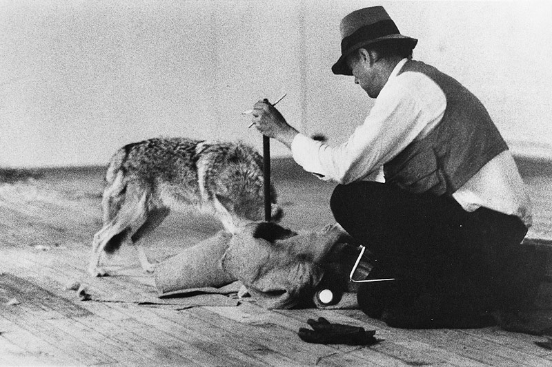 Aktionskünstler Joseph Beuys mit einem Kojoten in einer New Yorker Galerie