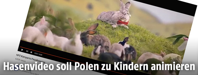 Screenshot einer YouTube Seite zeigt ein Hasenvideo