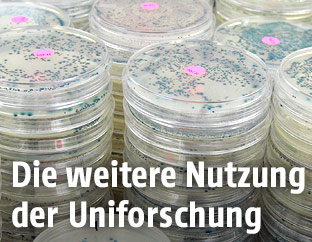 Petrischalen