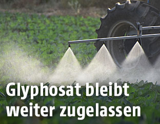 Ein Traktor sprüht Pestizide