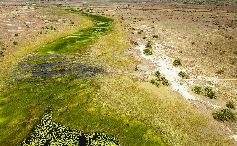 © Gethin Chamberlain Ausgetrockneter Fluss in Mosambik
