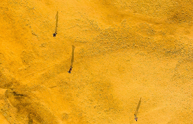 © Gethin Chamberlain Malawische Einwohner werfen lange Schatten auf einem ausgetrockenten Boden