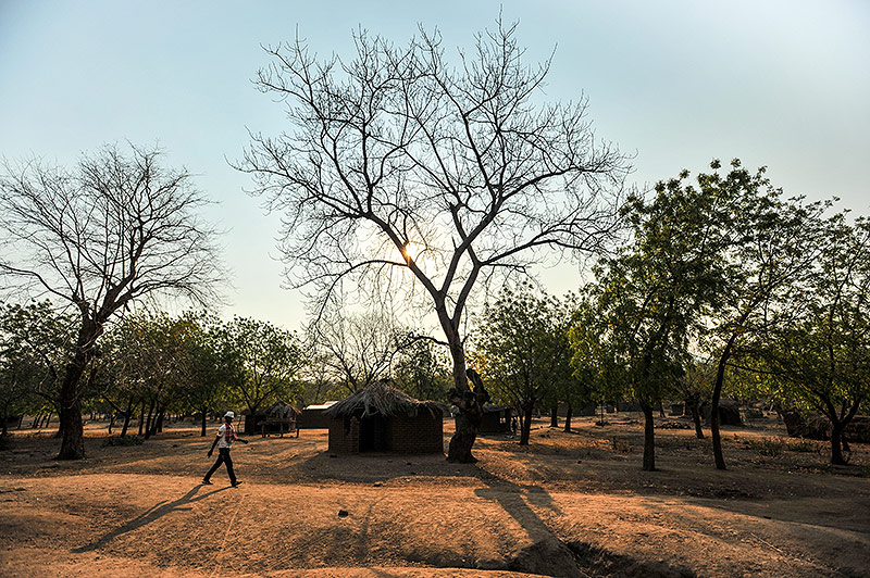 © Gethin Chamberlain Arbeiter in einer Plantage