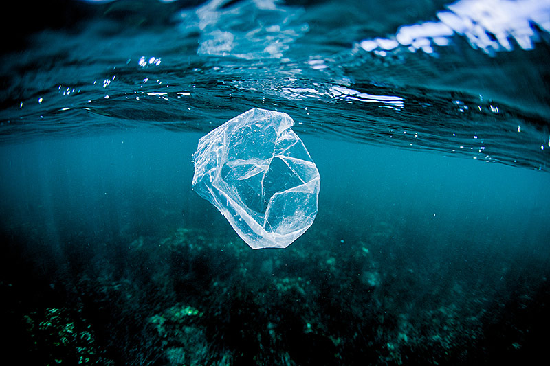 © Getty Images/mattpaul Plastiksackerl schwimmt im Meer