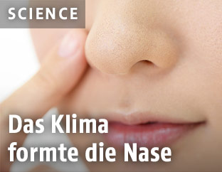 Nase