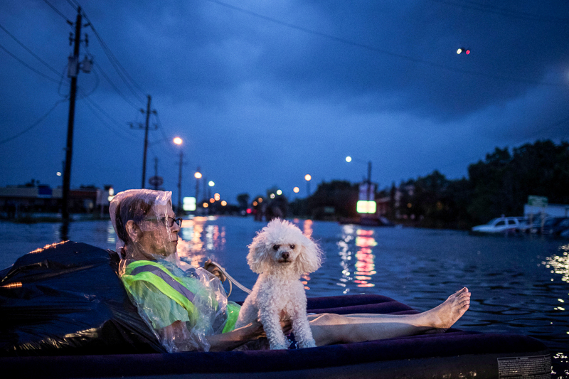 © Reuters/Adrees Latif Frau wartet auf Rettung in Houston, Texas