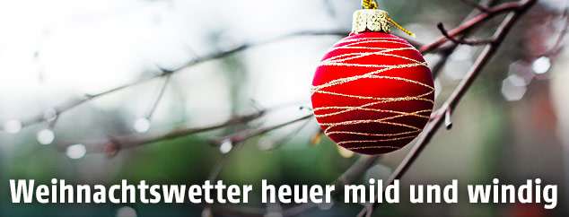 Christbaumkugel im Regen