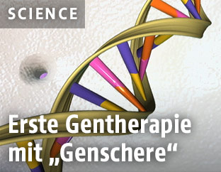 Eine Illustration der DNA