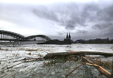 © AP/Oliver Berg Hochwasser am Kölner Rhein