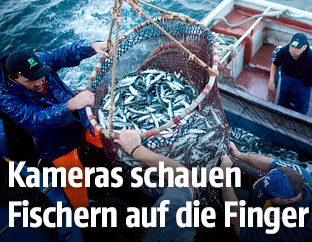 Fischer holen ihren Fang ein