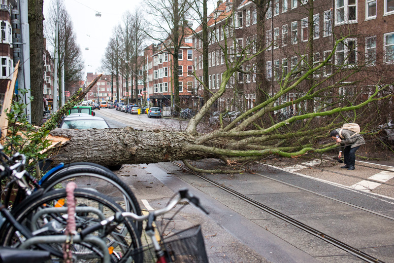 Sturm "Friederike" zieht über Europa