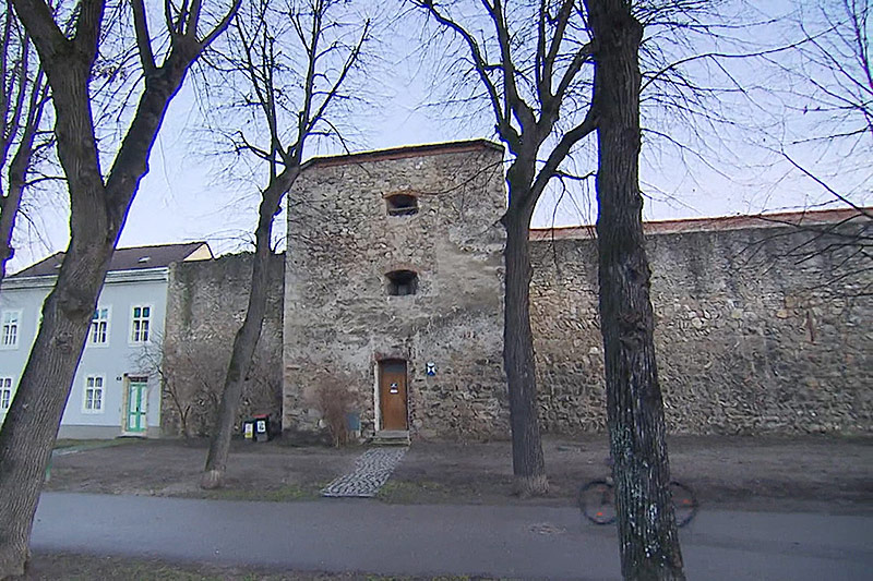 © ORF Germania zu Wiener Neustadt