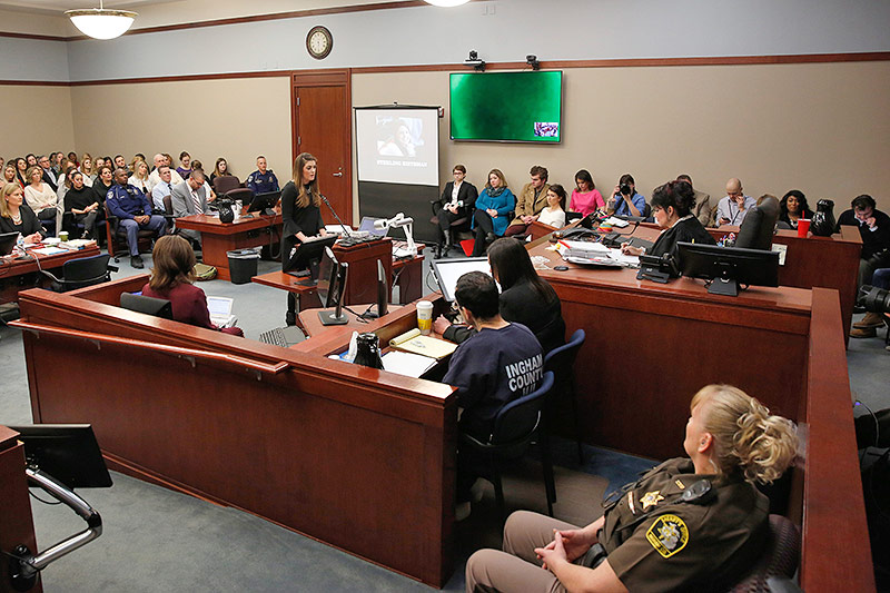 © APA/AFP/Jeff Kowalsky Anhörung im Ingham County Circuit Court