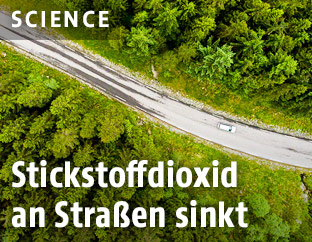 Auto auf Freilandstraße