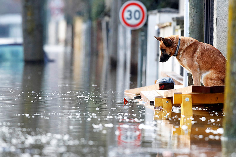 © Reuters/Christian Hartmann Hochwasser in Paris