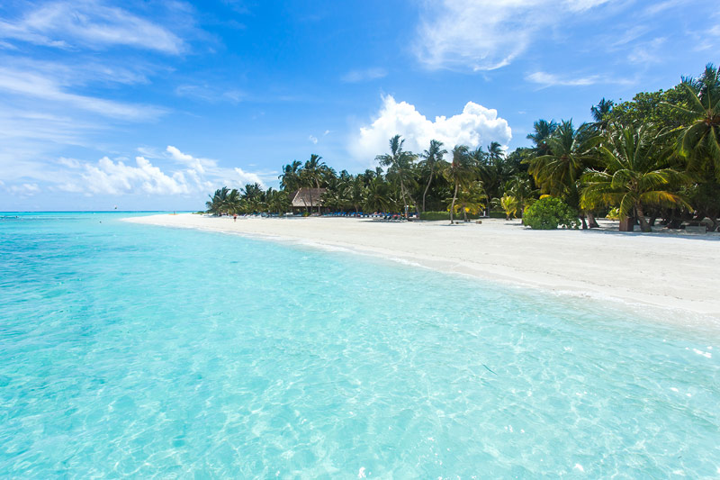 © Getty Images/thipjang Strand auf den Malediven