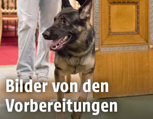 Vorbereitungsarbeiten zum Opernball 2018