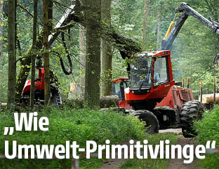 Bagger im polnischen Urwald Bialowieza