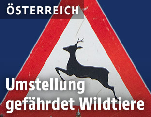 Verkehrsschild "Achtung Wildwechsel"