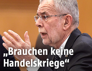 Österreichs Präsident Alexander van der Bellen
