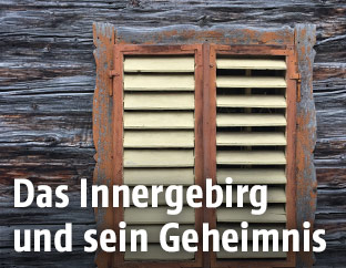Blick auf die alte Holzmaserung eines Bauernhauses in Goldegg