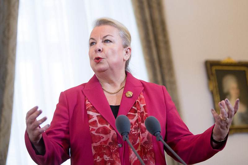 © APA/Georg Hochmuth Gesundheitsministerin Beate Hartinger-Klein