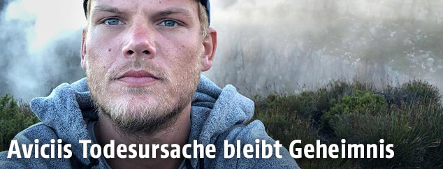 Der schwedische Hit-DJ Avicii