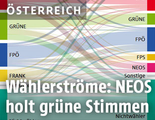 Wählerstromanalyse