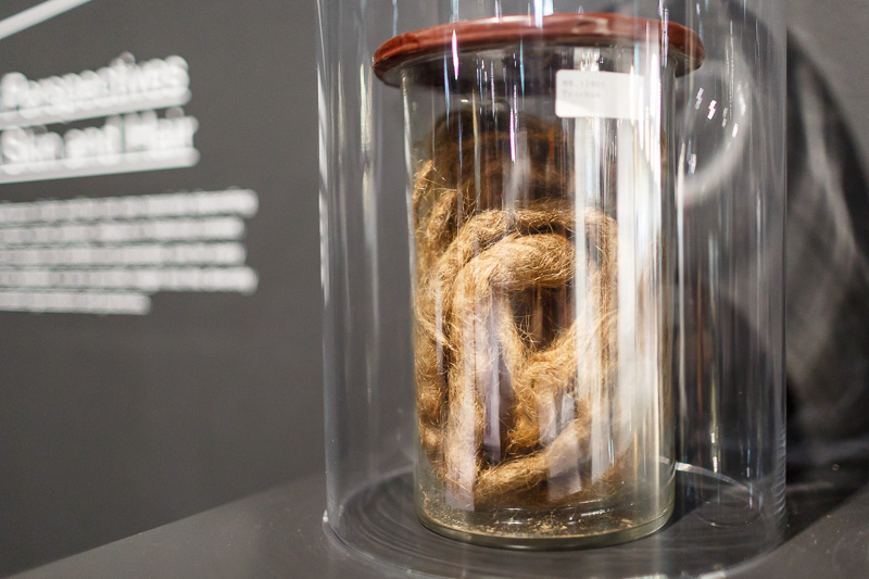 © ORF.at/Dominique Hammer Ausstellungsansicht von "Mit Haut und Haar" im Wien Museum