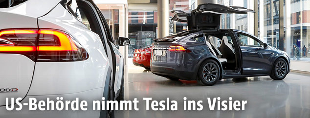 Tesla-Autos