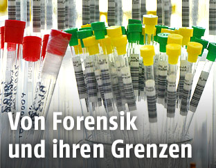 Eprovetten in einem Labor