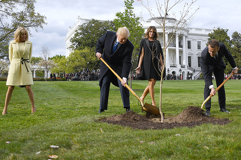 Der französische Staatschef Emmanuel Macron pflanzt gemeinsam mit US-Präsident Donald Trump einen Baum, die Ehefrauen Brigitte und Melania schauen dabei zu