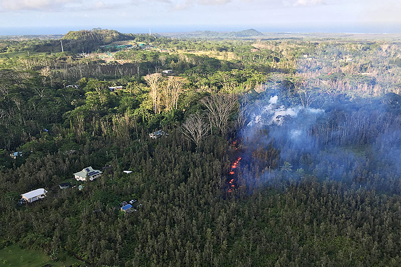 Lava strömt aus dem Waldboden