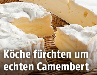 Aufgeschnittener Camembert-Käse