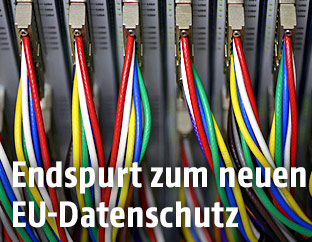 Netzwerkkabel