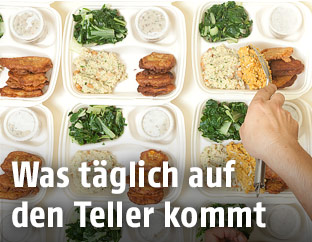 Portionierte Mahlzeiten auf mehreren Tellern