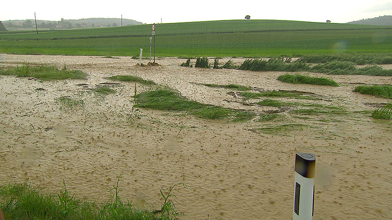 Überschwemmtes Feld