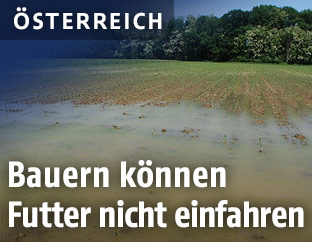 &Uuml;berschwemmtes Feld