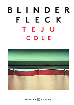 © Hanser Berlin Teju Cole Blinder Fleck Brienzersee Juni 2014