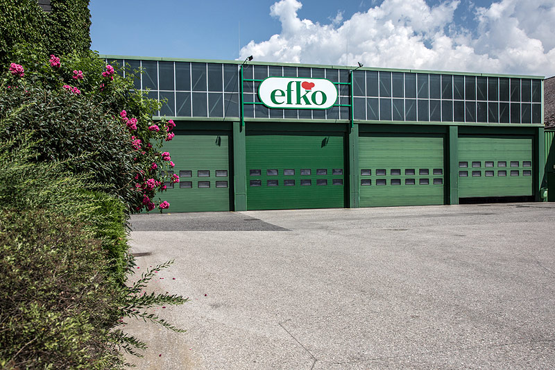 © ORF.at/Lukas Krummholz Efko-Zentrale in Eferding