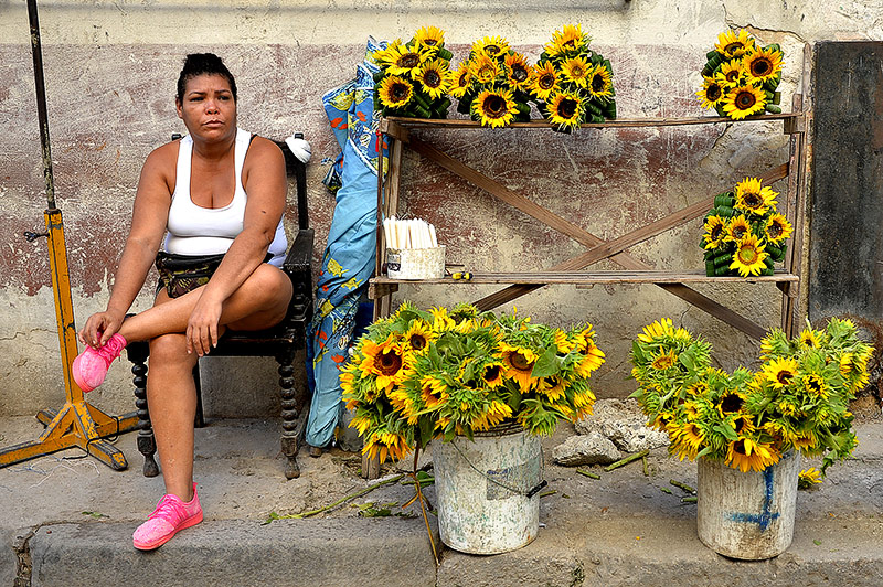© APA/AFP/Yamil Lage Kubanische Blumenhändlerin