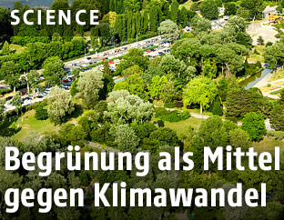 Bäume in einem Park