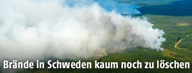 Rauchsäule über schwedischen Wald