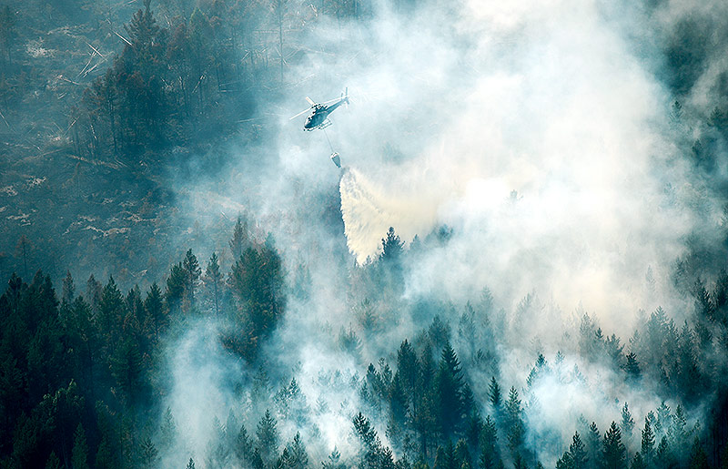 Löschflugzeug in der Nähe von Ljusdal
