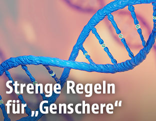 Künstlerische Darstellung einer DNS-Doppelhelix