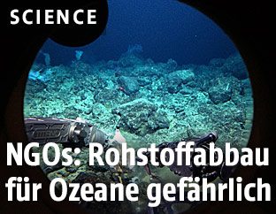 Aufnahme vom Meeresboden