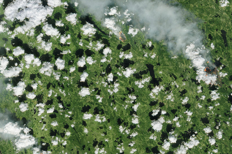 © APA/AFP/ESA Satellitenbild der Brände in Schweden