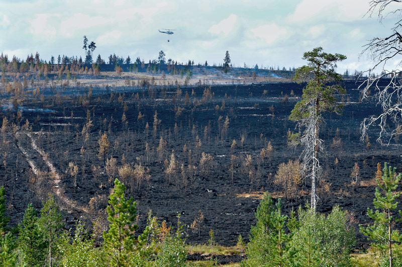 © APA/AFP/TTTMaja Suslin Waldbrand in Schweden