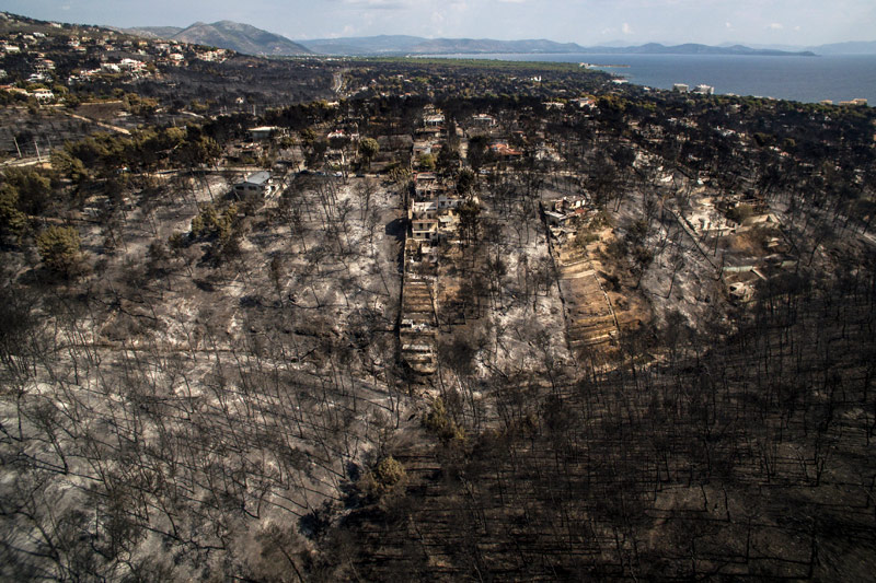 © APA/AFP/Savvas Karmaniolas Zerstöunf nach Waldbrand in Griechenland